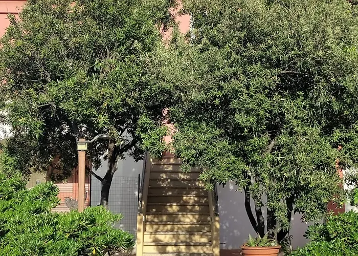 Le Canne - Sole San Teodoro (Sardinia)